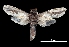  ( - MAL-00097)  @13 [ ] Unspecified (default): All Rights Reserved  Unspecified Unspecified