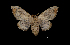  ( - MAL-00110)  @13 [ ] Unspecified (default): All Rights Reserved  Unspecified Unspecified