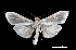  ( - MAL-00113)  @14 [ ] Unspecified (default): All Rights Reserved  Unspecified Unspecified