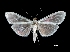  ( - MAL-00123)  @14 [ ] Unspecified (default): All Rights Reserved  Unspecified Unspecified