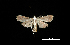  ( - MAL-00152)  @12 [ ] Unspecified (default): All Rights Reserved  Unspecified Unspecified