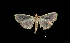  ( - MAL-00167)  @13 [ ] Unspecified (default): All Rights Reserved  Unspecified Unspecified