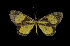  ( - MAL-00220)  @13 [ ] Unspecified (default): All Rights Reserved  Unspecified Unspecified