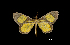  ( - MAL-00220)  @13 [ ] Unspecified (default): All Rights Reserved  Unspecified Unspecified