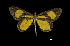  ( - MAL-00221)  @13 [ ] Unspecified (default): All Rights Reserved  Unspecified Unspecified