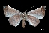  ( - MAL-00228)  @13 [ ] Unspecified (default): All Rights Reserved  Unspecified Unspecified
