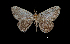  ( - MAL-00230)  @13 [ ] Unspecified (default): All Rights Reserved  Unspecified Unspecified