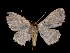  ( - MAL-00231)  @13 [ ] Unspecified (default): All Rights Reserved  Unspecified Unspecified