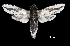  ( - MAL-00250)  @14 [ ] Unspecified (default): All Rights Reserved  Unspecified Unspecified