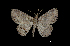  ( - MAL-00264)  @13 [ ] Unspecified (default): All Rights Reserved  Unspecified Unspecified