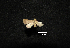 ( - MAL-00580)  @12 [ ] Unspecified (default): All Rights Reserved  Unspecified Unspecified