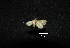 ( - MAL-00580)  @12 [ ] Unspecified (default): All Rights Reserved  Unspecified Unspecified