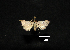  ( - MAL-00583)  @12 [ ] Unspecified (default): All Rights Reserved  Unspecified Unspecified