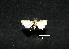  ( - MAL-00583)  @12 [ ] Unspecified (default): All Rights Reserved  Unspecified Unspecified