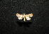  ( - MAL-00588)  @12 [ ] Unspecified (default): All Rights Reserved  Unspecified Unspecified