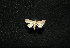  ( - MAL-00588)  @12 [ ] Unspecified (default): All Rights Reserved  Unspecified Unspecified