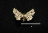  ( - MAL-00598)  @11 [ ] Unspecified (default): All Rights Reserved  Unspecified Unspecified