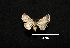  ( - MAL-00598)  @11 [ ] Unspecified (default): All Rights Reserved  Unspecified Unspecified
