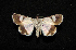  ( - MAL-00626)  @13 [ ] Unspecified (default): All Rights Reserved  Unspecified Unspecified