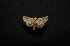  ( - MAL-00644)  @13 [ ] Unspecified (default): All Rights Reserved  Unspecified Unspecified