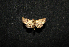  ( - MAL-00644)  @13 [ ] Unspecified (default): All Rights Reserved  Unspecified Unspecified