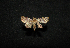  ( - MAL-00645)  @12 [ ] Unspecified (default): All Rights Reserved  Unspecified Unspecified