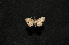  ( - MAL-00655)  @12 [ ] Unspecified (default): All Rights Reserved  Unspecified Unspecified