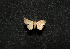 ( - MAL-00655)  @12 [ ] Unspecified (default): All Rights Reserved  Unspecified Unspecified