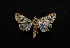  ( - MAL-00660)  @13 [ ] Unspecified (default): All Rights Reserved  Unspecified Unspecified