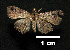  ( - MAL-00672)  @12 [ ] Unspecified (default): All Rights Reserved  Unspecified Unspecified