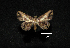  ( - MAL-00713)  @12 [ ] Unspecified (default): All Rights Reserved  Unspecified Unspecified
