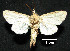  ( - MAL-00722)  @13 [ ] Unspecified (default): All Rights Reserved  Unspecified Unspecified