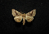  ( - MAL-00727)  @13 [ ] Unspecified (default): All Rights Reserved  Unspecified Unspecified