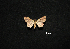  ( - MAL-00728)  @13 [ ] Unspecified (default): All Rights Reserved  Unspecified Unspecified