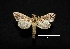  ( - MAL-00750)  @13 [ ] Unspecified (default): All Rights Reserved  Unspecified Unspecified
