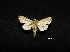  ( - MAL-00751)  @13 [ ] Unspecified (default): All Rights Reserved  Unspecified Unspecified