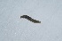  ( - MLL-00865)  @12 [ ] Unspecified (default): All Rights Reserved  Unspecified Unspecified