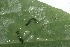  ( - MLL-00941)  @12 [ ] Unspecified (default): All Rights Reserved  Unspecified Unspecified