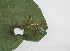  ( - MLL-00974)  @12 [ ] Unspecified (default): All Rights Reserved  Unspecified Unspecified
