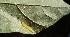  ( - MLL-01712)  @11 [ ] Unspecified (default): All Rights Reserved  Unspecified Unspecified