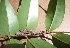  ( - MLL-01722)  @13 [ ] Unspecified (default): All Rights Reserved  Unspecified Unspecified