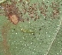  ( - MLL-01742)  @11 [ ] Unspecified (default): All Rights Reserved  Unspecified Unspecified