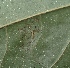  ( - MLL-01745)  @11 [ ] Unspecified (default): All Rights Reserved  Unspecified Unspecified