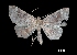  ( - MAL-00306)  @12 [ ] Unspecified (default): All Rights Reserved  Unspecified Unspecified