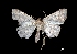 ( - MAL-00306)  @12 [ ] Unspecified (default): All Rights Reserved  Unspecified Unspecified