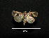  ( - MAL-00310)  @12 [ ] Unspecified (default): All Rights Reserved  Unspecified Unspecified