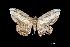  ( - MAL-00367)  @13 [ ] Unspecified (default): All Rights Reserved  Unspecified Unspecified