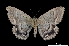  ( - MAL-00370)  @13 [ ] Unspecified (default): All Rights Reserved  Unspecified Unspecified
