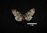  ( - MAL-00379)  @12 [ ] Unspecified (default): All Rights Reserved  Unspecified Unspecified