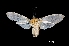  ( - MAL-00404)  @13 [ ] Unspecified (default): All Rights Reserved  Unspecified Unspecified